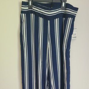 Summer Casual Blue & White, Adrienne Vittadini Striped Pants, Size 6